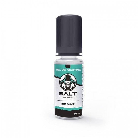 Ice mint - 10ml - Salt - LE FRENCH LIQUIDE