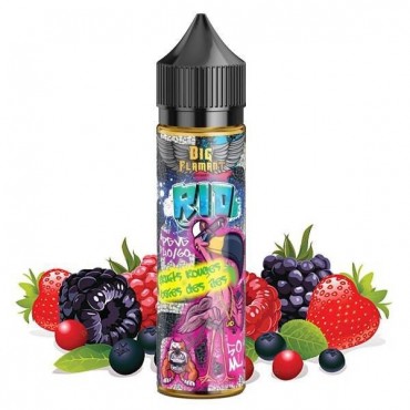 Rio - 50ml - Big Flamant - LIQUIDAROM