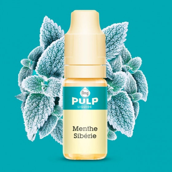 Menthe sibérie - 10ml - Pulp (Lot de 10)