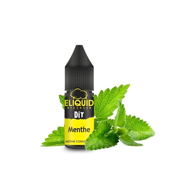 CONCENTRE MENTHE 10ML E LIQUID FRANCE