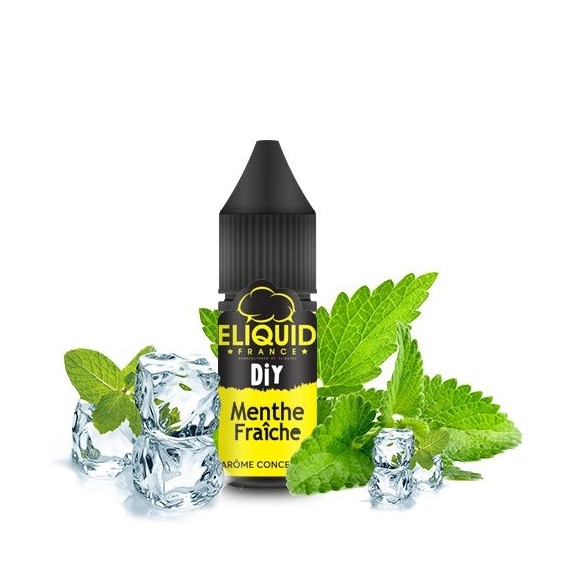 CONCENTRE MENTHE FRAÎCHE 10ML E LIQUID FRANCE