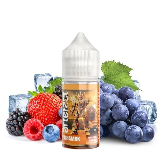 CONCENTRE PACHAMAK 30 ML ARTEFACT LE FRENCH LIQUIDE