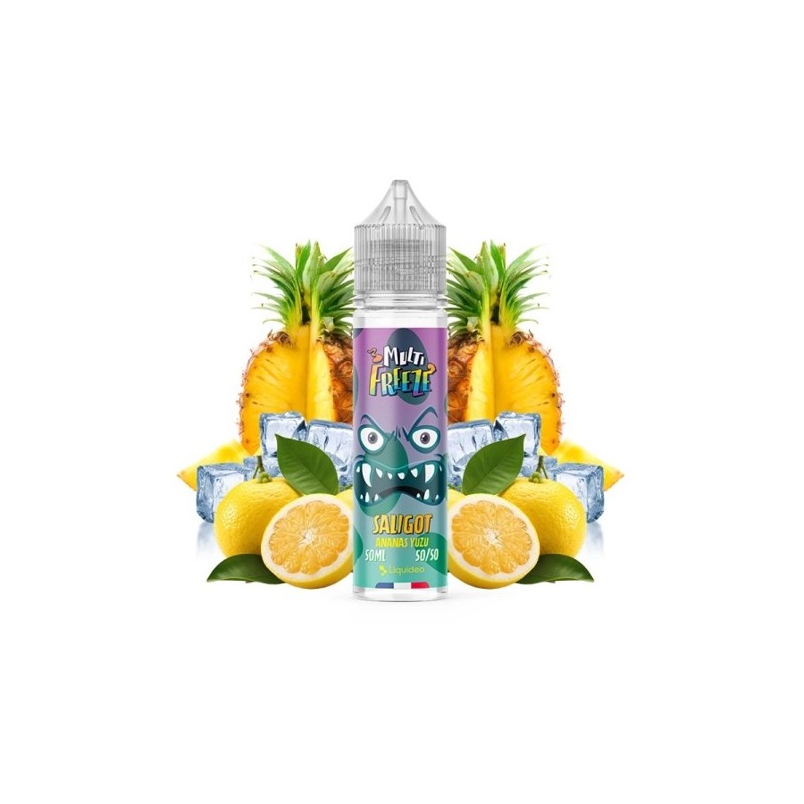 Saligot - 50ml - Multi freeze - LIQUIDEO Saligot - 50ml - Multi freeze - LIQUIDEO