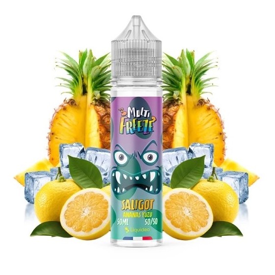 Saligot - 50ml - Multi freeze - LIQUIDEO