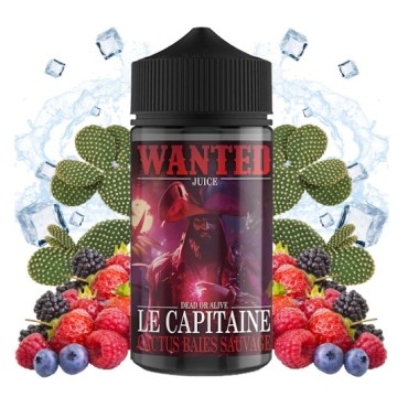 Le capitaine - 200ML - WANTED JUICE