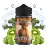 Cactus jack - 200ML - WANTED JUICE