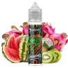 Dragon pastèque kiwi - 50ml - Dragonzz - LIQUIDEO