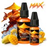 CONCENTRE RAIDEN MAX 30 ML AROMES ET LIQUIDES
