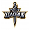Xcalibur